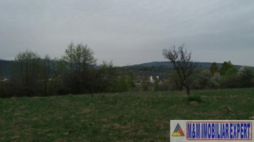 teren-extravilan-de-4200-mp-cu-fantana-proprie-situat-in-valea-mare-pravat-arges-5
