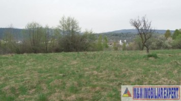 teren-extravilan-de-4200-mp-cu-fantana-proprie-situat-in-valea-mare-pravat-arges-6