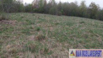 teren-extravilan-de-4200-mp-cu-fantana-proprie-situat-in-valea-mare-pravat-arges-7