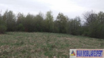 teren-extravilan-de-4200-mp-cu-fantana-proprie-situat-in-valea-mare-pravat-arges-8