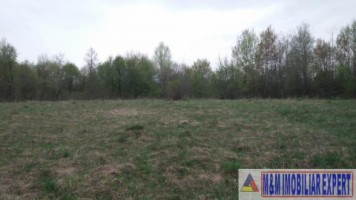 teren-extravilan-de-4200-mp-cu-fantana-proprie-situat-in-valea-mare-pravat-arges-9