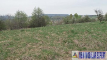 teren-extravilan-de-4200-mp-cu-fantana-proprie-situat-in-valea-mare-pravat-arges-10