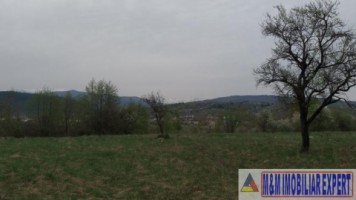 teren-extravilan-de-4200-mp-cu-fantana-proprie-situat-in-valea-mare-pravat-arges-11