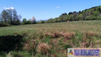 teren-938-mp-intravilan-campulung-magura-4