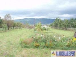 vand-casa-2-camere-cu-teren-4000-mp-valea-mare-pravat-arges-13