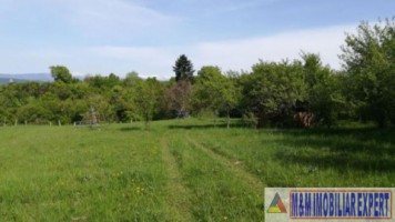 teren-intravilan-de-1-ha-in-stoenesti-piatra-arges-ideal-pentru-dezvoltare-rezidentiala-sau-turistica-0
