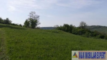 teren-intravilan-de-1-ha-in-stoenesti-piatra-arges-ideal-pentru-dezvoltare-rezidentiala-sau-turistica-1