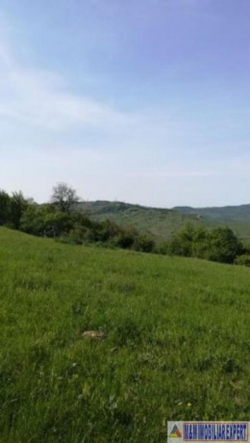 teren-intravilan-de-1-ha-in-stoenesti-piatra-arges-ideal-pentru-dezvoltare-rezidentiala-sau-turistica-2