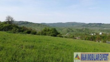 teren-intravilan-de-1-ha-in-stoenesti-piatra-arges-ideal-pentru-dezvoltare-rezidentiala-sau-turistica-3