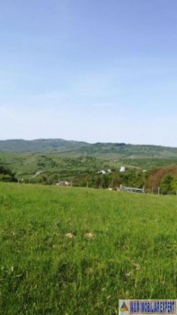 teren-intravilan-de-1-ha-in-stoenesti-piatra-arges-ideal-pentru-dezvoltare-rezidentiala-sau-turistica-4