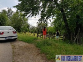 teren-de-vanzare-2153-mp-intravilan-valea-mare-pravat-arges-potential-dezvoltare-7