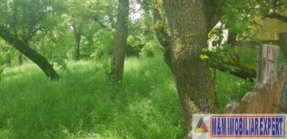 teren-2900-mp-intravilan-de-vanzare-in-boteni-arges-ideal-pentru-constructii-rezidentiale