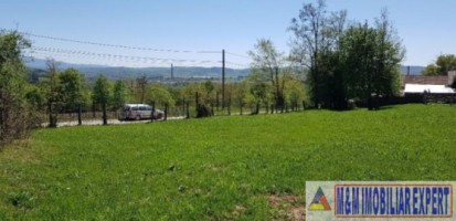 teren-intravilan-3800-mp-de-vanzare-in-albestii-de-muscel-ideal-pentru-dezvoltare-rezidentiala