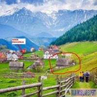 teren-3000-mp-fundata-fundatica-brasov-1