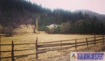 teren-intravilan-14-ha-de-vanzare-rucar-satic-arges-0