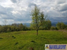 teren-4900-mp-intra-extravilan-campulung-muscel-cretisoara-arges-1