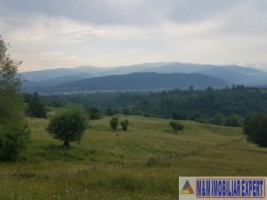 teren-4900-mp-intra-extravilan-campulung-muscel-cretisoara-arges-2
