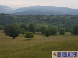 teren-4900-mp-intra-extravilan-campulung-muscel-cretisoara-arges-3