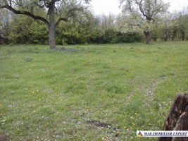 teren-intravilan-2066-mp-de-vanzare-in-boteni-arges