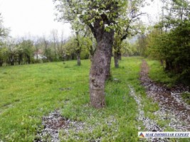 teren-intravilan-2066-mp-de-vanzare-in-boteni-arges-2