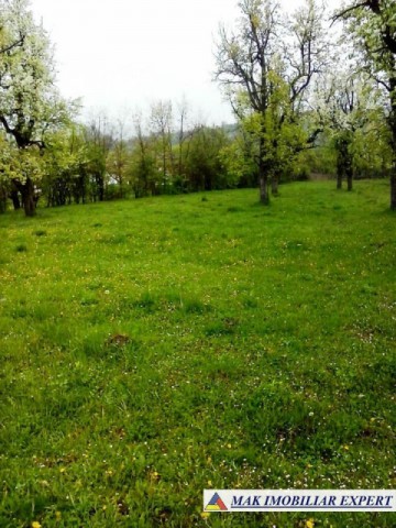 teren-intravilan-2066-mp-de-vanzare-in-boteni-arges-3