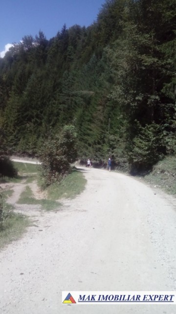 teren-extravilan-8220-mp-de-vanzare-in-valea-cheii-dambovicioara-arges-ideal-pentru-proiecte-agricole-si-recreative