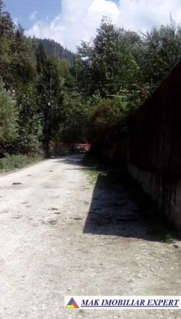 teren-extravilan-8220-mp-de-vanzare-in-valea-cheii-dambovicioara-arges-ideal-pentru-proiecte-agricole-si-recreative-3
