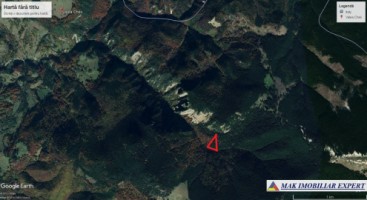 teren-8220-mp-extravilan-dambovicioara-valea-cheii-6