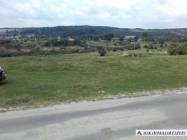 teren-extravilan-de-vanzare-4000-mp-in-apa-sarata-campulung-muscel-arges-ideal-pentru-agricultura-si-investitie