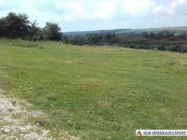 teren-extravilan-de-vanzare-4000-mp-in-apa-sarata-campulung-muscel-arges-ideal-pentru-agricultura-si-investitie-1