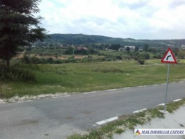 teren-extravilan-de-vanzare-4000-mp-in-apa-sarata-campulung-muscel-arges-ideal-pentru-agricultura-si-investitie-3