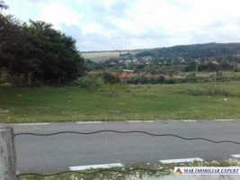 teren-extravilan-de-vanzare-4000-mp-in-apa-sarata-campulung-muscel-arges-ideal-pentru-agricultura-si-investitie-4
