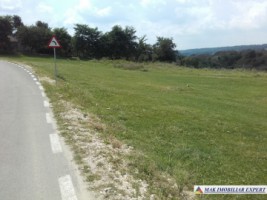 teren-extravilan-de-vanzare-4000-mp-in-apa-sarata-campulung-muscel-arges-ideal-pentru-agricultura-si-investitie-8