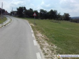 teren-extravilan-de-vanzare-4000-mp-in-apa-sarata-campulung-muscel-arges-ideal-pentru-agricultura-si-investitie-9