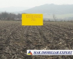 teren-intraextravilan-5100-mp-mihaesti-arges-ideal-pentru-dezvoltare