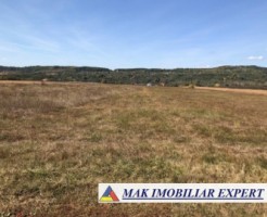 teren-extravilan-78-ha-moraresti-arges-ideal-pentru-agricultura