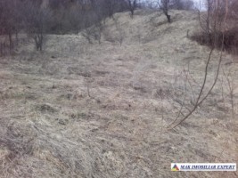 teren-7125-mp-intraextravilan-de-vanzare-in-marcus-campulung-muscel-arges-ideal-pentru-proiecte-rezidentiale-si-agricole