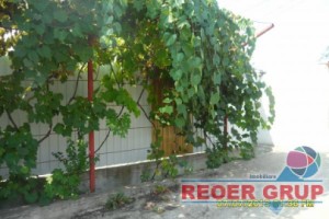 teren-intravilan-plus-casa-batraneasca-25900-euro