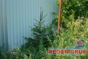 teren-intravilan-plus-casa-batraneasca-25900-euro-4