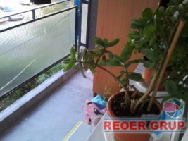 vest-zona-persani-2cam-dec-la-28000-euro-4
