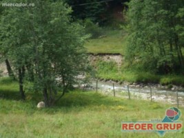 cheia-dn1-4000-mp-8000-mp-intravilan-1