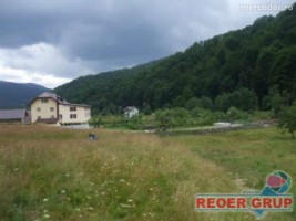 cheia-dn1-4000-mp-8000-mp-intravilan-2