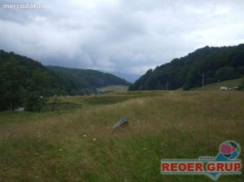 cheia-dn1-4000-mp-8000-mp-intravilan-3
