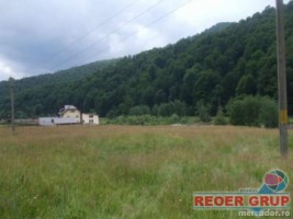 cheia-dn1-4000-mp-8000-mp-intravilan-4
