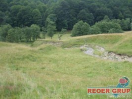 cheia-dn1-4000-mp-8000-mp-intravilan-5