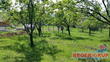boldesti-scaeni-zpitoreasca-loturi-min-1000mp-intrav-17-eump-9