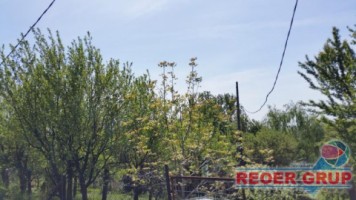 boldesti-scaeni-zpitoreasca-loturi-min-1000mp-intrav-17-eump-6