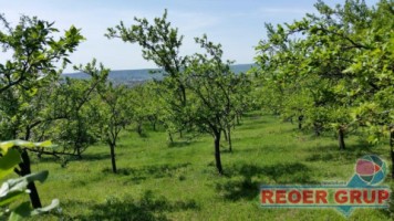 boldesti-scaeni-zpitoreasca-loturi-min-1000mp-intrav-17-eump-11