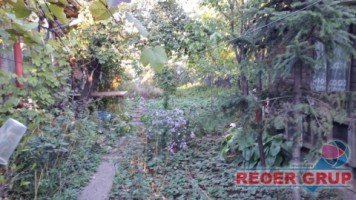 ploiesti-ztraian-casa-3-camere-teren-556-mp-la-65000-euro-1