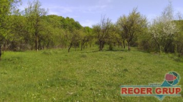 valcanesti-intravilan-3857-mp-langa-paduretoate-utilitatile-1